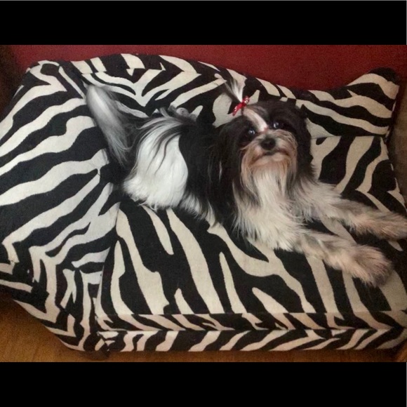 Meet your Posher, Trish - Picture 4 of 4